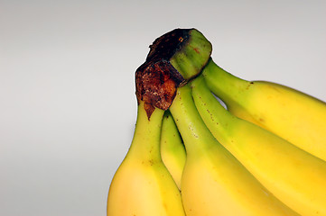 Image showing Bananas