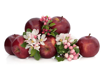 Image showing Apples and Flower Blossom