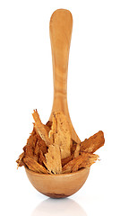 Image showing Astragalus Root