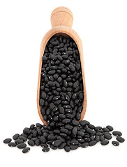 Image showing Black Beans