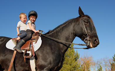 Image showing children on stallion