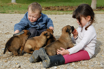 Image showing children and puppies