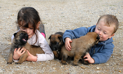 Image showing children and puppies