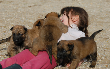 Image showing girl and little puppies