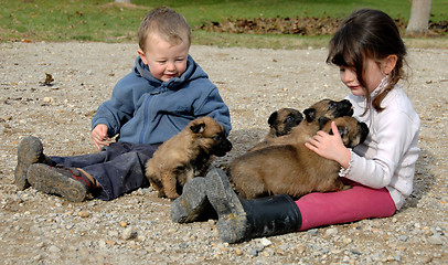 Image showing children and puppies