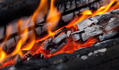 Image showing Fire close-up view