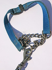 Image showing dog leash