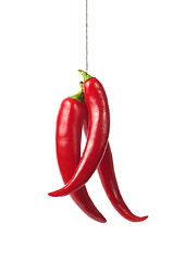 Image showing Red chili pepper