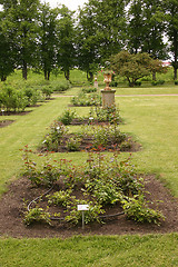 Image showing garden