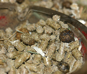 Image showing rabbit food,