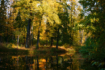 Image showing river in autumn forest