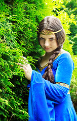 Image showing elf princess in green garden