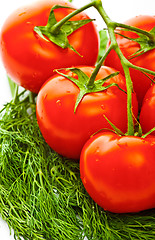 Image showing vegetables for salad