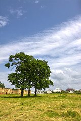 Image showing country landscape