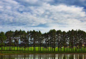 Image showing forest under blue sky