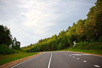 Image showing way to Bialowieza Forest