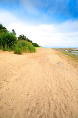 Image showing tropical seashore