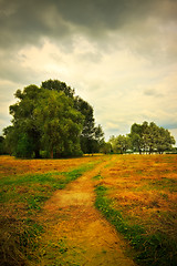 Image showing mown hay on meadow