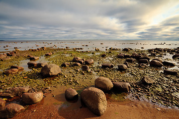 Image showing rocky seashore