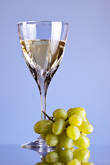 Image showing glass of white wine and grape