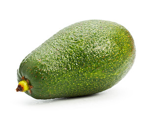 Image showing single avocado