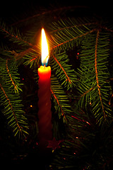 Image showing candle on fir branches