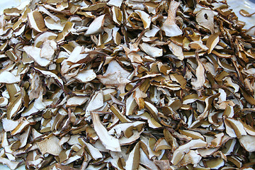 Image showing Dried porcinis