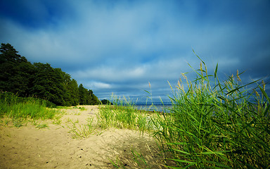 Image showing seashore under blue sky