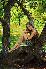 Image showing beautiful girl sitting on a large tree