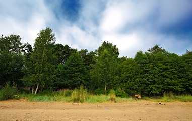 Image showing forest under cloudy sky	