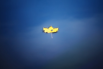 Image showing maple leaf on water