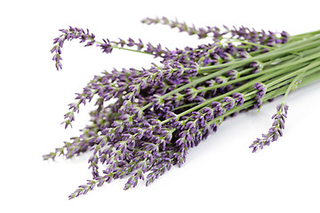 Image showing lavender flowers