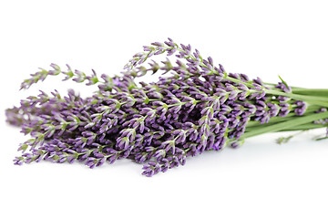 Image showing lavender flowers