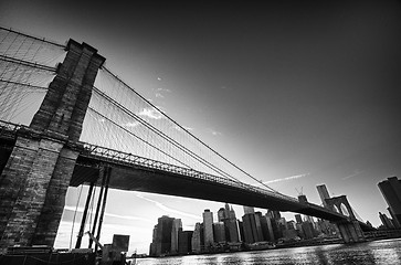 Image showing View of Brooklyn Bridge from Dumbo Park