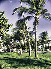 Image showing Colors of Florida Keys