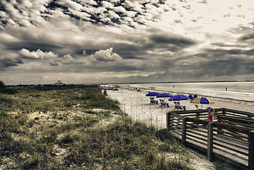 Image showing Colors of Honeymoon Island in Florida