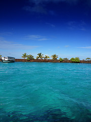 Image showing Crystal Clear Waters of Maldives