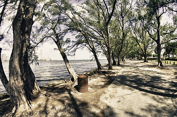 Image showing Vegetation of Hobie Island Beach Park in Miami