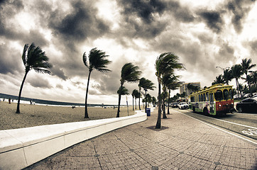 Image showing Streets of Fort Lauderdale, Florida