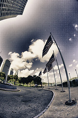 Image showing Miami Skyscrapers near Bayfront Park