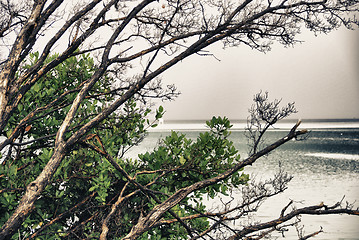 Image showing Colors of Islamorada in the Keys, Florida