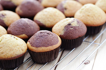 Image showing black and white muffins