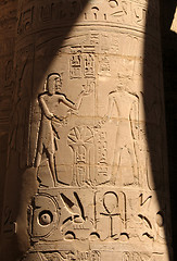 Image showing Egyptian column