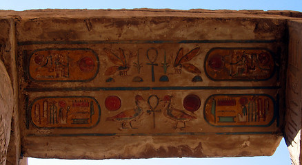 Image showing Beautiful Egyptian Hieroglyphs