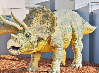 Image showing Triceratops portrait