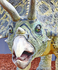 Image showing Triceratops portrait