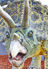 Image showing Triceratops portrait