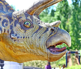 Image showing Triceratops portrait