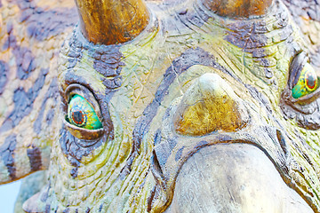 Image showing Triceratops portrait