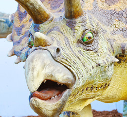 Image showing Triceratops portrait